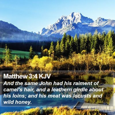 Matthew 3:4 KJV Bible Verse Image