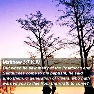Matthew 3:7 KJV Bible Verse Image