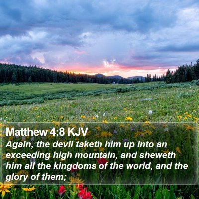 Matthew 4:8 KJV Bible Verse Image