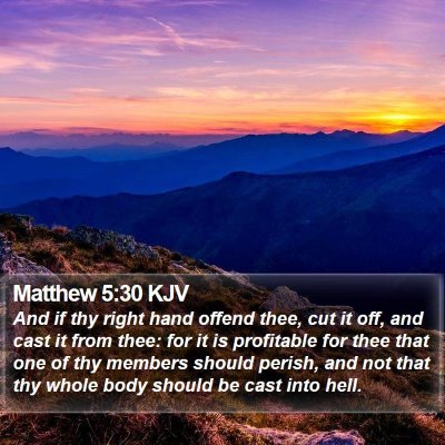 Matthew 5:30 KJV Bible Verse Image