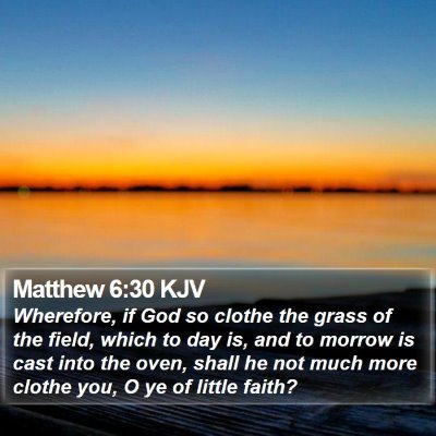 Matthew 6:30 KJV Bible Verse Image