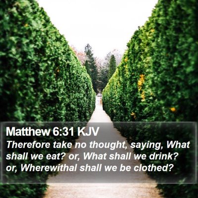 Matthew 6:31 KJV Bible Verse Image