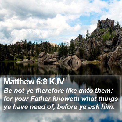 Matthew 6:8 KJV Bible Verse Image