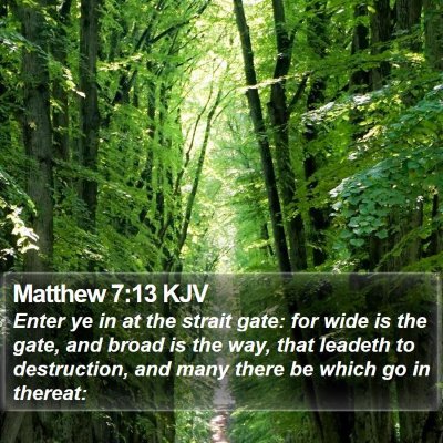 Matthew 7:13 KJV Bible Verse Image