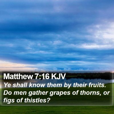 Matthew 7:16 KJV Bible Verse Image