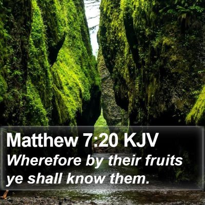 Matthew 7:20 KJV Bible Verse Image