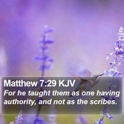 Matthew 7:29 KJV Bible Verse Image