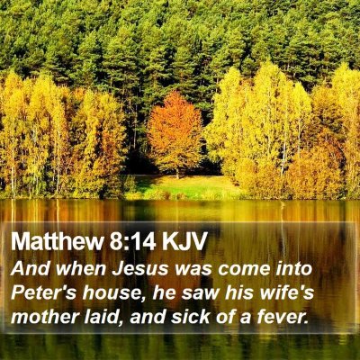 Matthew 8:14 KJV Bible Verse Image