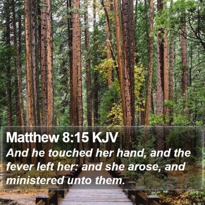 Matthew 8:15 KJV Bible Verse Image
