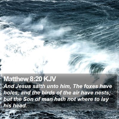 Matthew 8:20 KJV Bible Verse Image