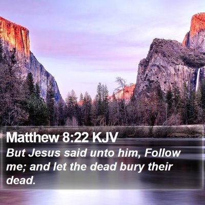 Matthew 8:22 KJV Bible Verse Image
