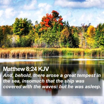 Matthew 8:24 KJV Bible Verse Image