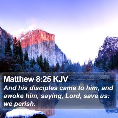 Matthew 8:25 KJV Bible Verse Image
