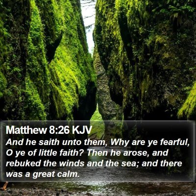 Matthew 8:26 KJV Bible Verse Image
