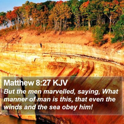 Matthew 8:27 KJV Bible Verse Image