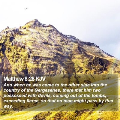 Matthew 8:28 KJV Bible Verse Image