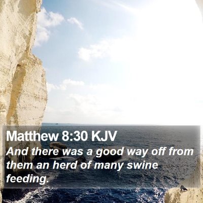 Matthew 8:30 KJV Bible Verse Image