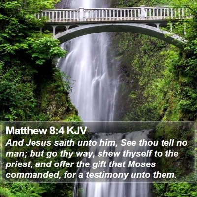 Matthew 8:4 KJV Bible Verse Image