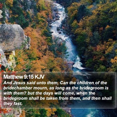 Matthew 9:15 KJV Bible Verse Image
