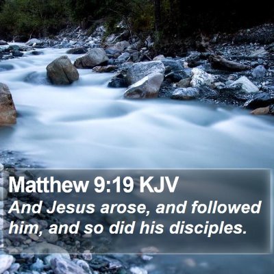 Matthew 9:19 KJV Bible Verse Image