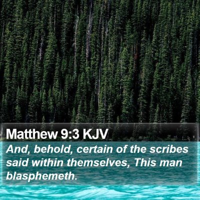 Matthew 9:3 KJV Bible Verse Image
