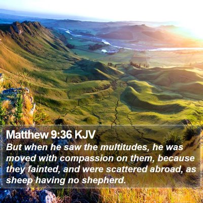 Matthew 9:36 KJV Bible Verse Image