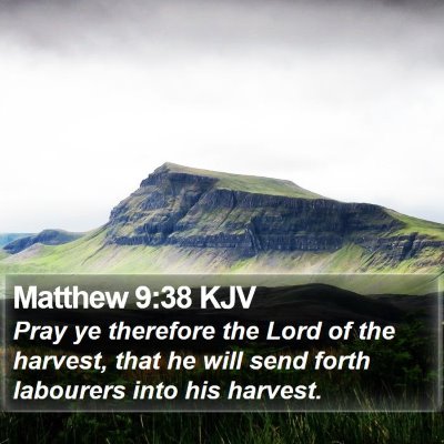 Matthew 9:38 KJV Bible Verse Image