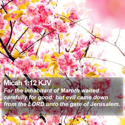 Micah 1:12 KJV Bible Verse Image
