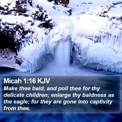 Micah 1:16 KJV Bible Verse Image