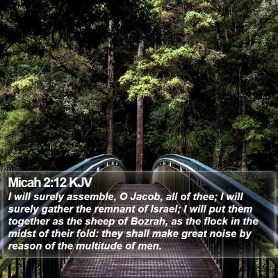Micah 2:12 KJV Bible Verse Image