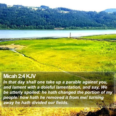 Micah 2:4 KJV Bible Verse Image