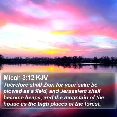 Micah 3:12 KJV Bible Verse Image