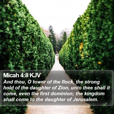 Micah 4:8 KJV Bible Verse Image