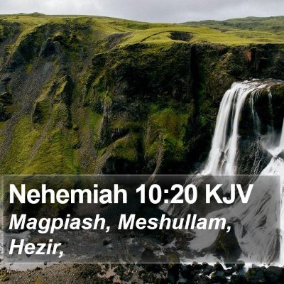 Nehemiah 10:20 KJV Bible Verse Image