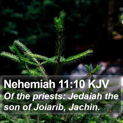 Nehemiah 11:10 KJV Bible Verse Image