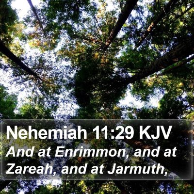 Nehemiah 11:29 KJV Bible Verse Image