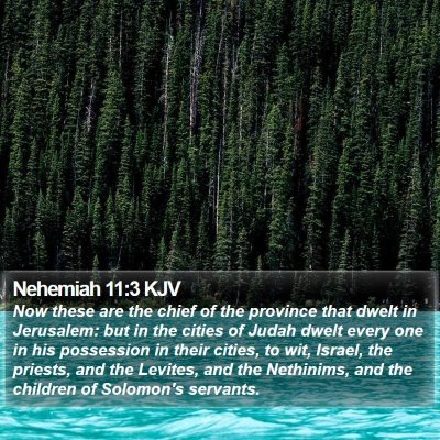 Nehemiah 11:3 KJV Bible Verse Image