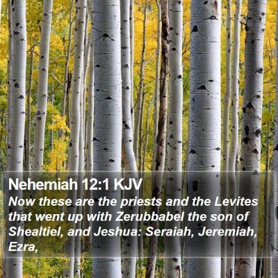 Nehemiah 12:1 KJV Bible Verse Image