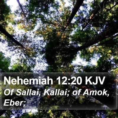 Nehemiah 12:20 KJV Bible Verse Image
