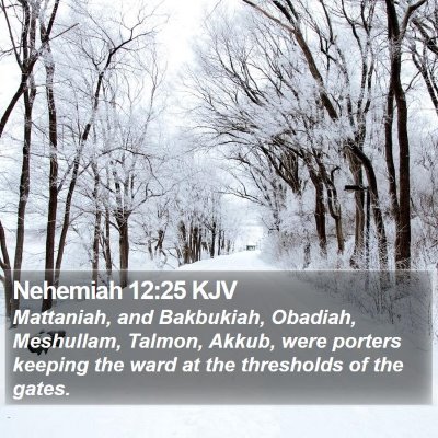 Nehemiah 12:25 KJV Bible Verse Image