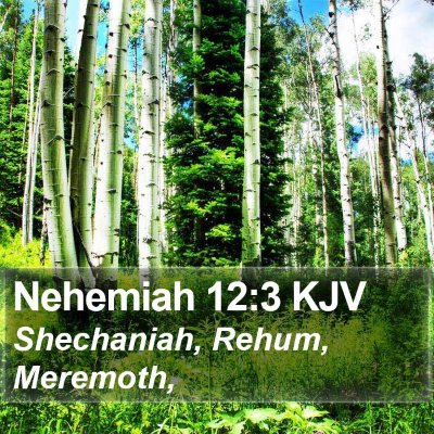 Nehemiah 12:3 KJV Bible Verse Image