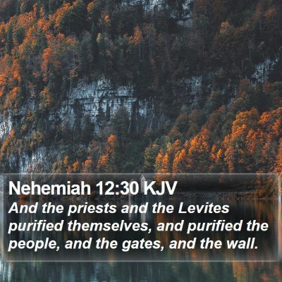 Nehemiah 12:30 KJV Bible Verse Image