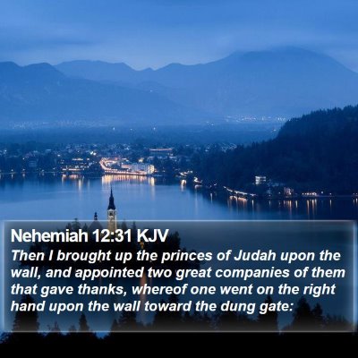 Nehemiah 12:31 KJV Bible Verse Image