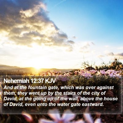 Nehemiah 12:37 KJV Bible Verse Image