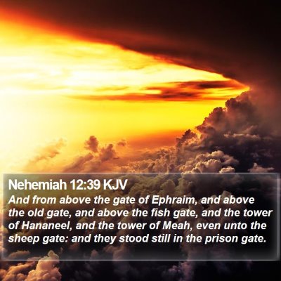 Nehemiah 12:39 KJV Bible Verse Image