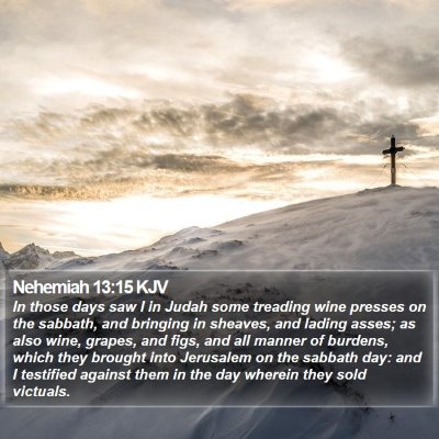 Nehemiah 13:15 KJV Bible Verse Image