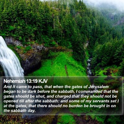 Nehemiah 13:19 KJV Bible Verse Image