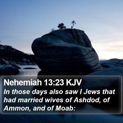 Nehemiah 13:23 KJV Bible Verse Image