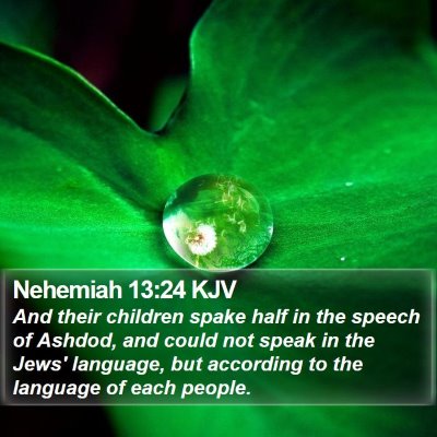 Nehemiah 13:24 KJV Bible Verse Image
