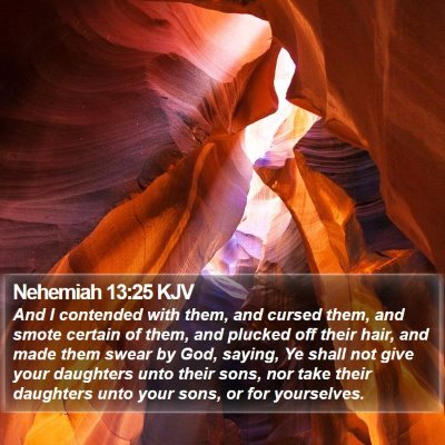 Nehemiah 13:25 KJV Bible Verse Image